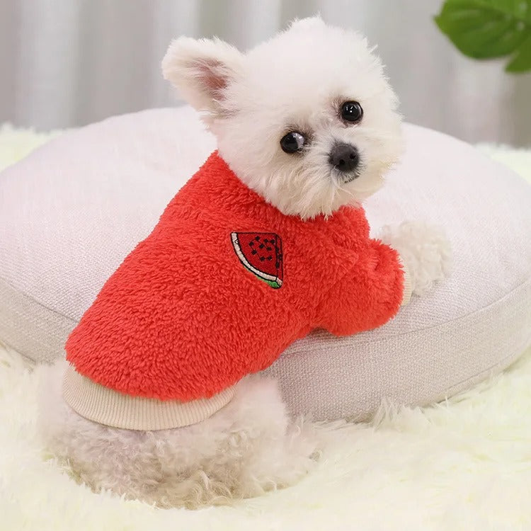 Fruitige kleding voor honden