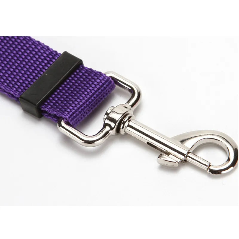 PetSafe Travel Buddy