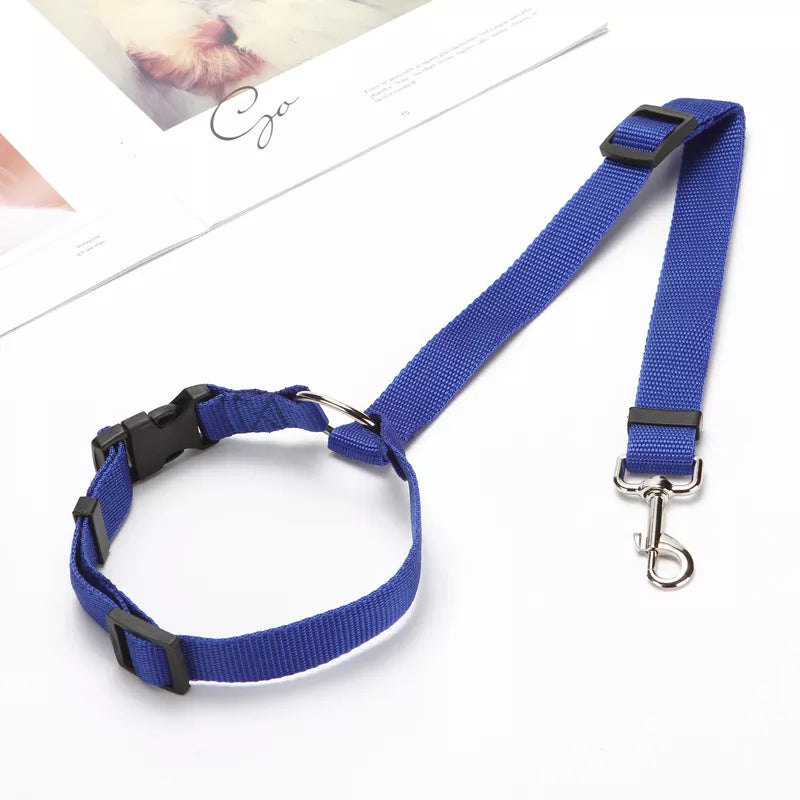 PetSafe Travel Buddy