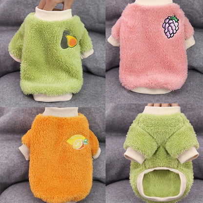 Fruitige kleding voor honden