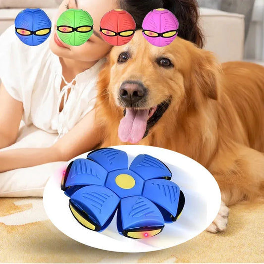 Doggy Disc