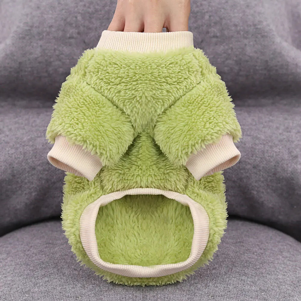 Fruitige kleding voor honden