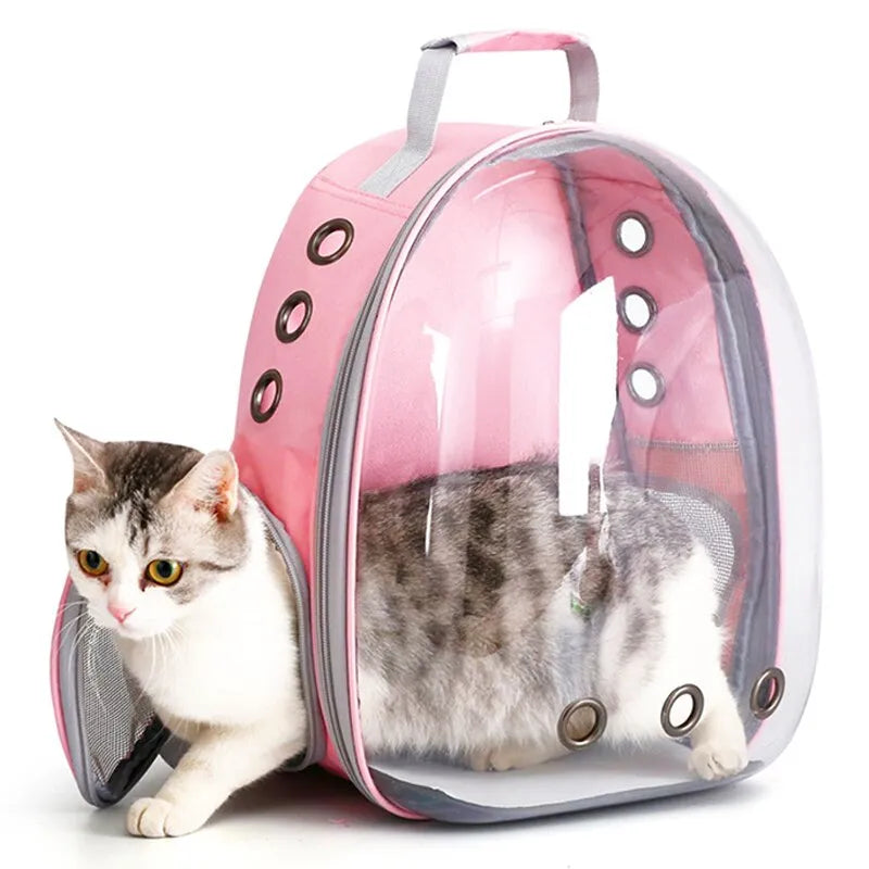 Transparante capsulerugzak voor katten