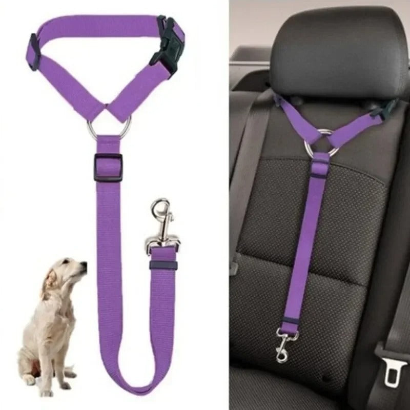 PetSafe Travel Buddy