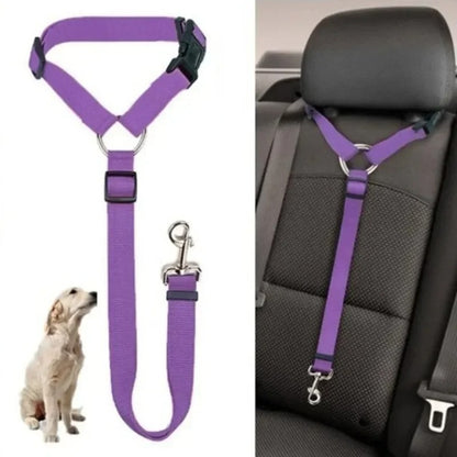 PetSafe Travel Buddy