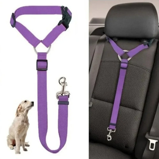PetSafe Travel Buddy