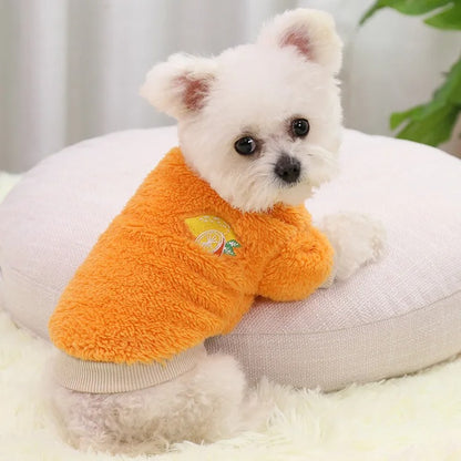 Fruitige kleding voor honden