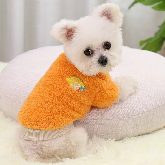 Fruitige kleding voor honden