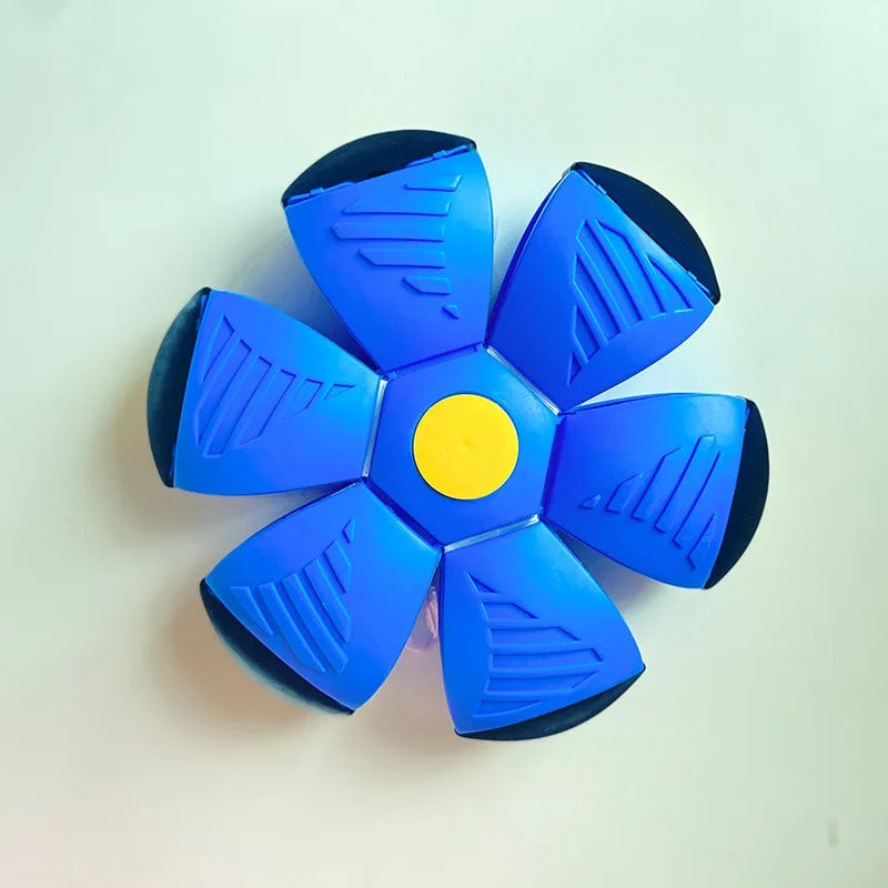 Doggy Disc