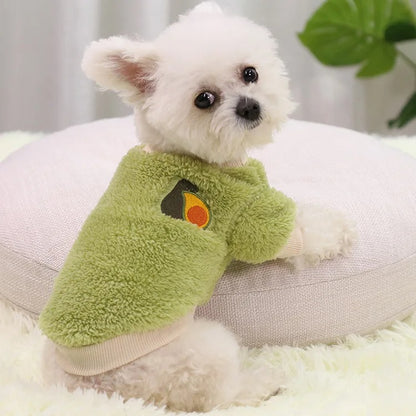 Fruitige kleding voor honden