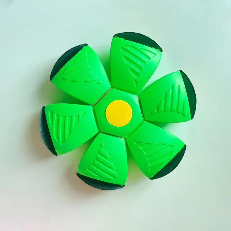 Doggy Disc