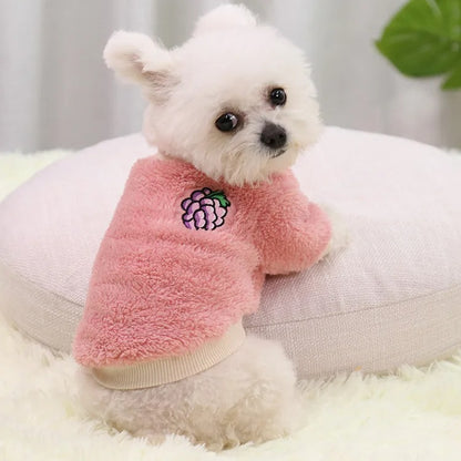 Fruitige kleding voor honden