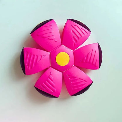 Doggy Disc