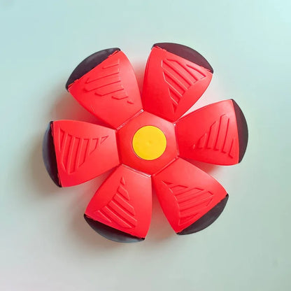 Doggy Disc